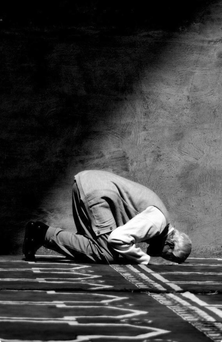 Fanonh_15's tweet photo. تعثرتُ 
فـ سجدتّ 
فـ دعوتُ 
فـأقامني الله .. 💜🕊 https://t.co/XI6d7xNf5d