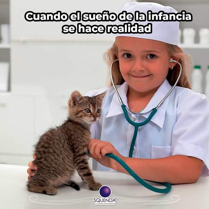 Clínica Veterinaria Solidaria (@maxbernal1) on Twitter photo 