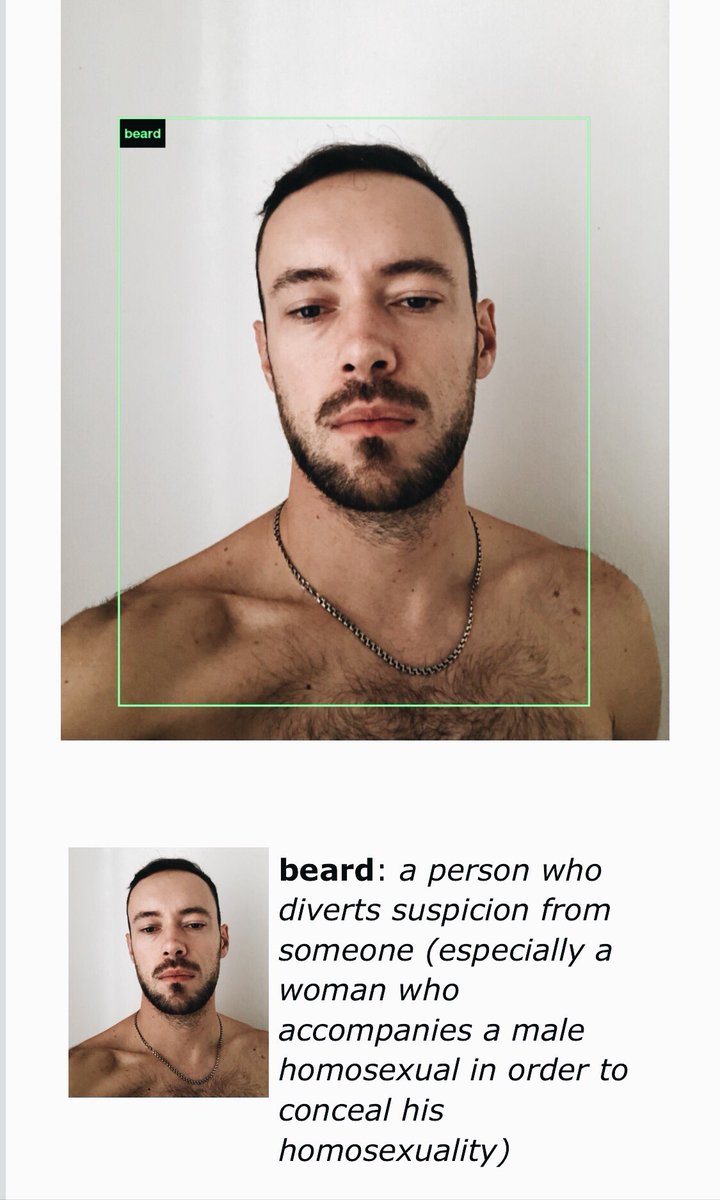 anton_shineft's tweet image. У кого ещё какие вопросы? #imagenetroulette