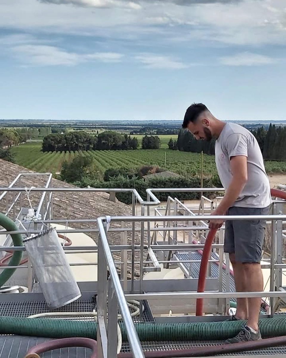 Harvest is in full motion at #ChateaudeValcombe! 🍇 A Syrah splash for the Garance wine!! 🍷💦⁠
—⁣⁠
#syrah #garance #costieresdenimes⁠ #rhonevalley