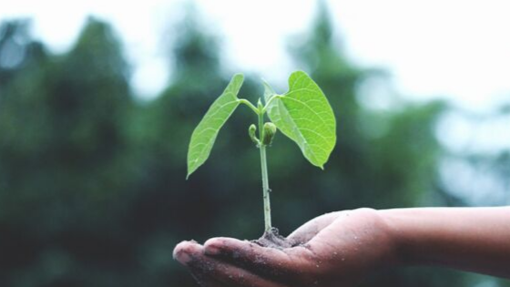 OnlineClubMgr's tweet photo. Did you know using a membership platform can help with your club recruitment and retention? 👍

Check out our latest blog post with tips to help you grow your club! 

https://t.co/eNMQ9uyND1

#recruitment #retention #club #clubmanagement #membershipplatform #membershipsoftware https://t.co/vCdXtg7949