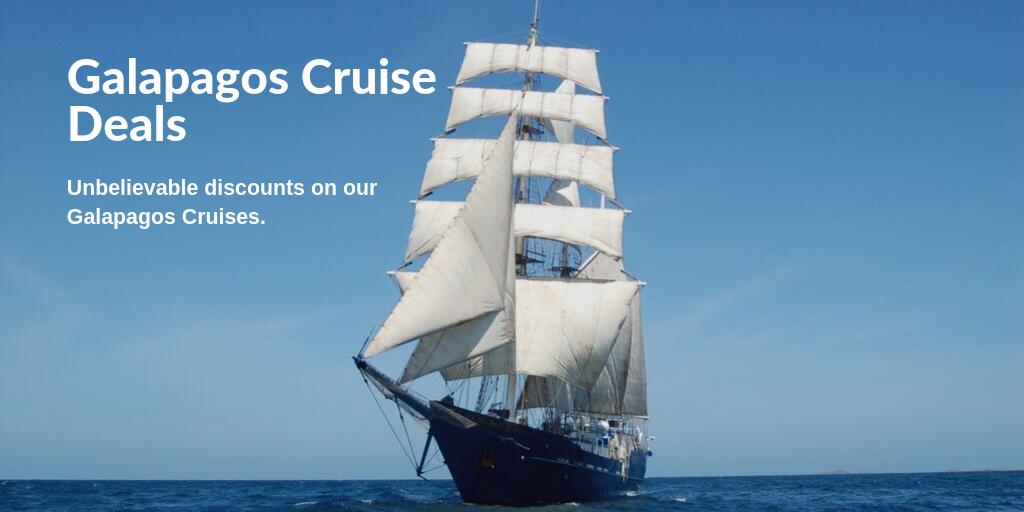 Andando Tours tweet media