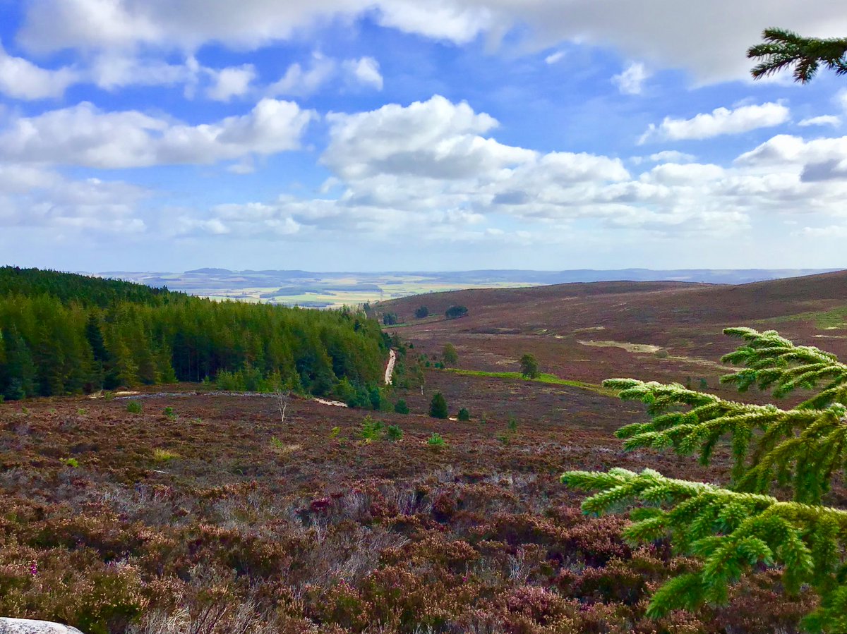 TheMackWalks's tweet photo. Today, Hill of Fare๐#walking #hiking #MeikleTap #Aberdeenshire #visitABDN https://t.co/TJwkBGWgNE
