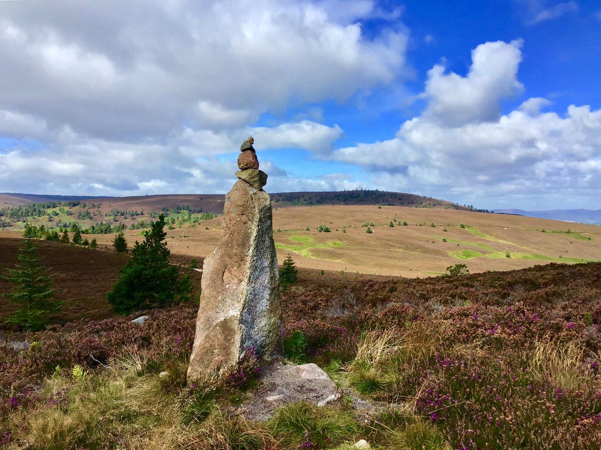 TheMackWalks's tweet photo. Today, Hill of Fare๐#walking #hiking #MeikleTap #Aberdeenshire #visitABDN https://t.co/TJwkBGWgNE