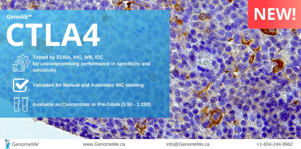 genome_me's tweet photo. NEW ANTIBODY!
Our CTLA4 clone is now available! 
Request your free sample here: info@genomeme.ca

#ctla4 #cancer #pathology #antibody https://t.co/EasldwbzP7
