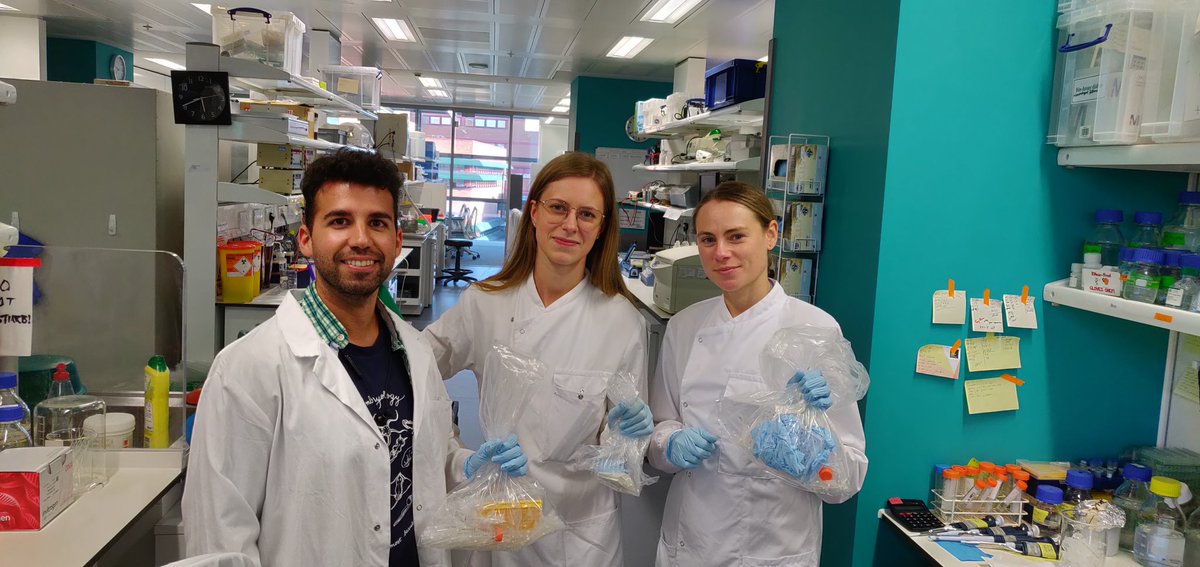 Today, we generated 225g of plastic waste. That means, we would generate 60kg of plastic waste in a year. Let's try to reduce our environmental impact #LabWasteDay #SustainableScience #SustainableCrick @lab_turner