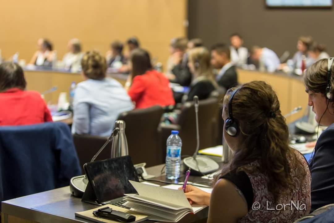 ModeleuParis's tweet photo. The official pictures of #MEUP2019 have been uploaded 📸 
Check out our facebook page 👍👍 #Modeleuropeanunionparis #FutureforEU #Youthinaction #Assembléenationale https://t.co/IDP2PgnKay