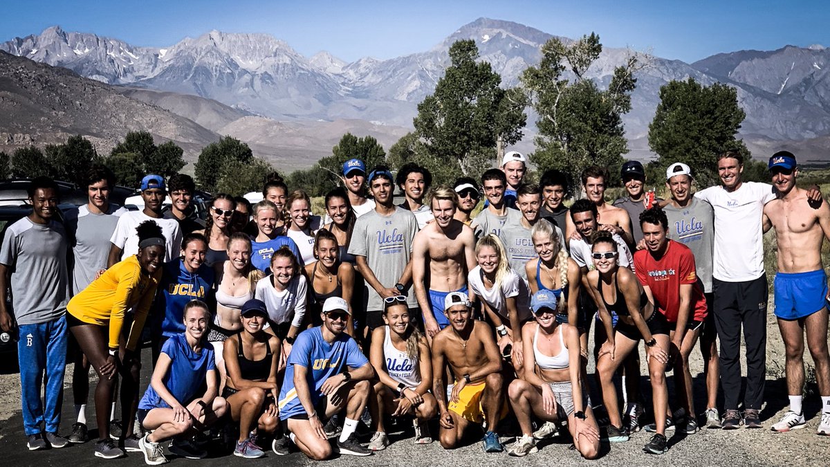 UCLA Cross Country tweet media