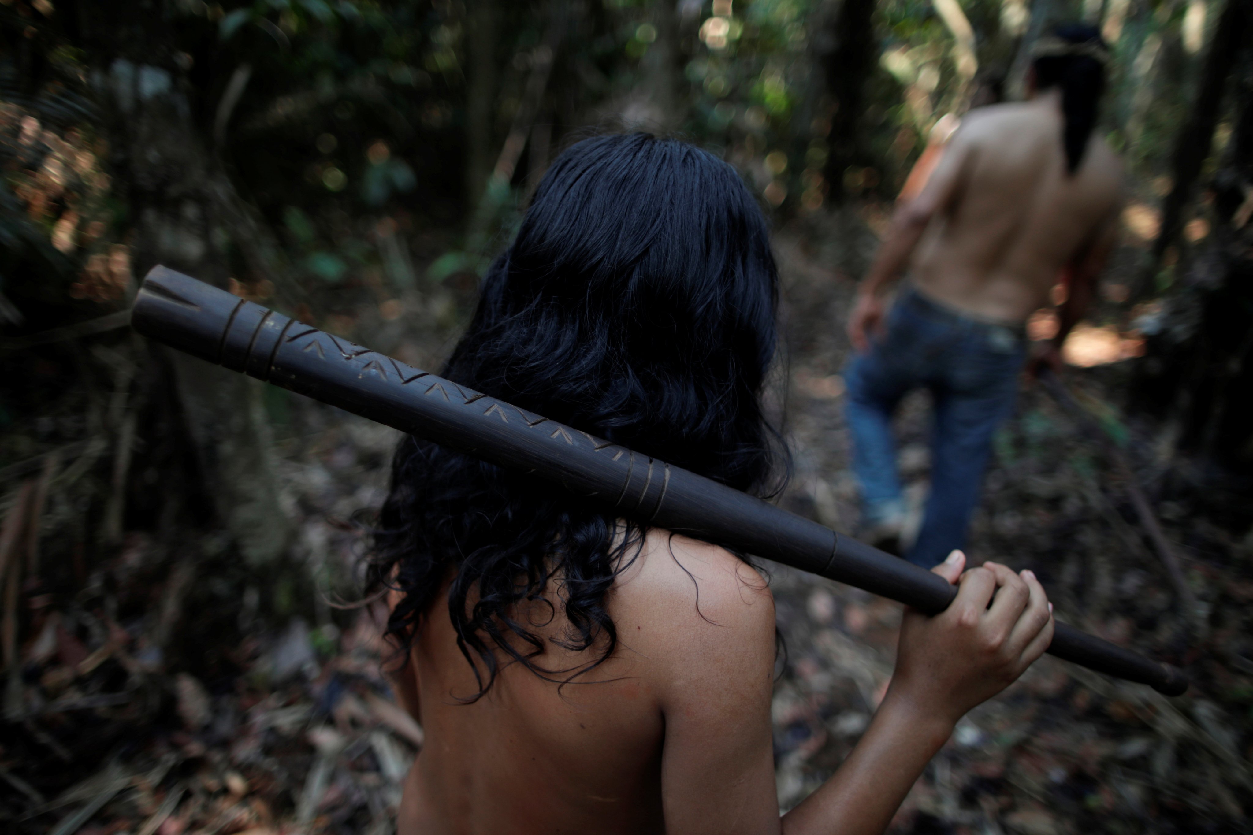 Rainforest Mafias: How Violence and Impunity Fuel Deforestation in