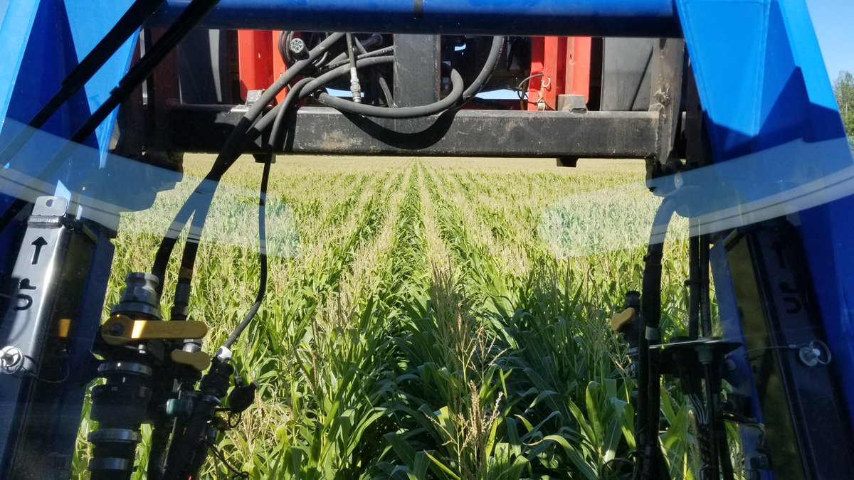 farmerschneck's tweet photo. Do you even #covercrop #bro #ontag #interseed #dakern https://t.co/XwOOs3kGAR