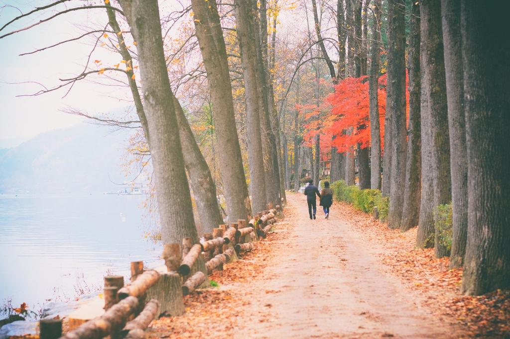 VadoApp's tweet photo. Nami Island, #SouthKorea ❤

This half-moon shaped island is home to rows of redwood, ginkgo and pine trees 🍂

It’s a stunning destination at any time of year — but its #autumn foliage is some of the best in the world…

Is it on your #bucketlist? https://t.co/KVFKsw39mo