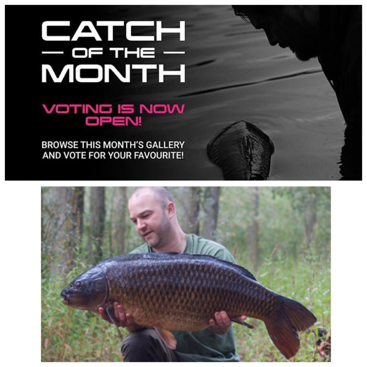 Marts_Carp's tweet image. Martin Cannon please vote for me in the sticky baits catch of the month competition stickybaits.com/catch-competit… #StickyBaitsCOTM