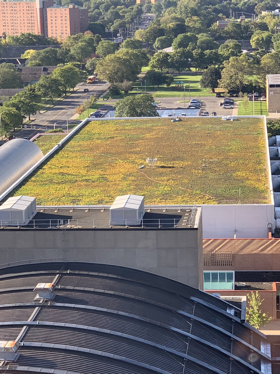 Maya Trotz tweet media