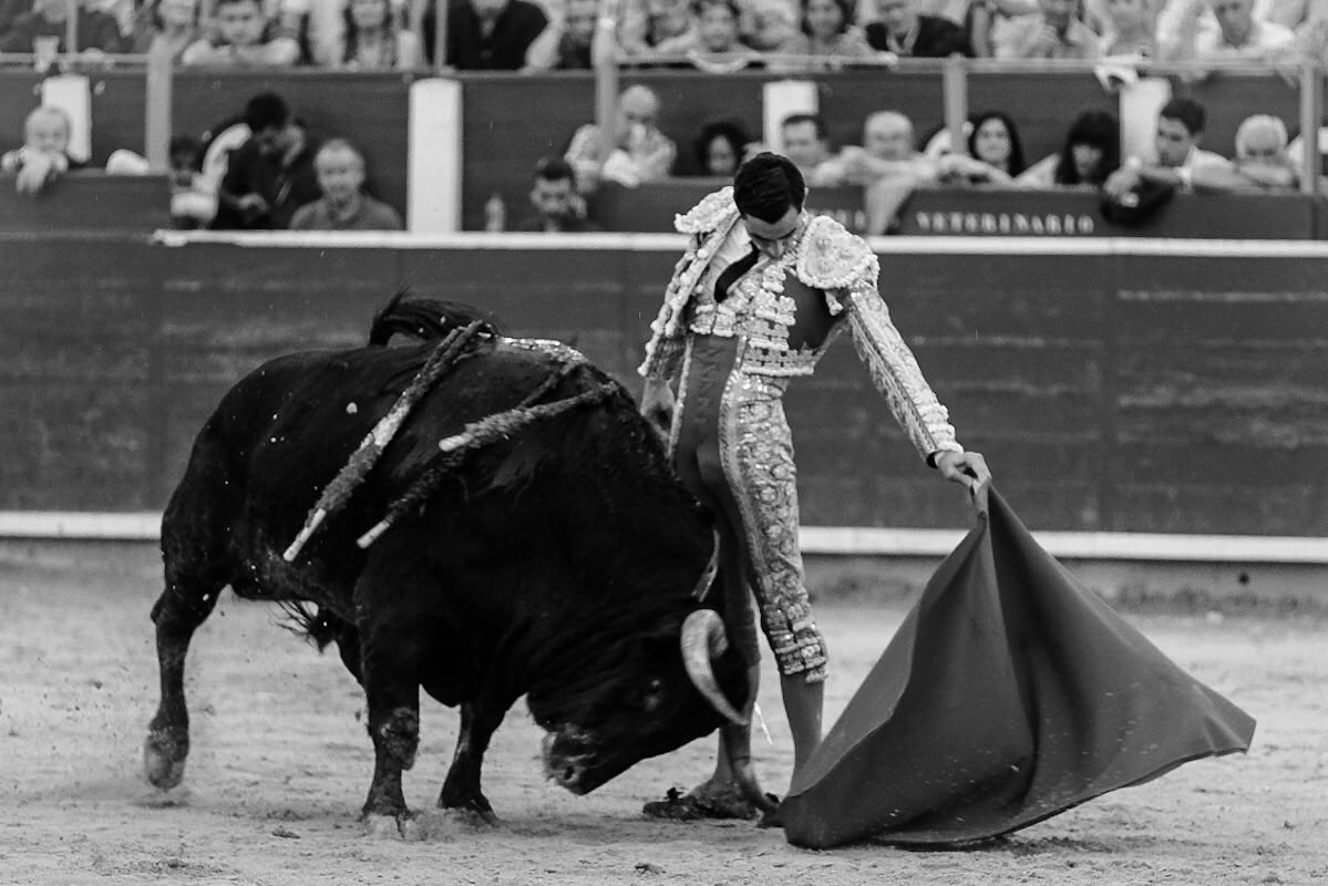 2️⃣ | ALBACETE |

Paco Ureña saluda la ovación tras despachar a su primer antagonista de la tarde, un toro descastado con el hierro de Montalvo.

#Pureza #Verdad #AñoUreña