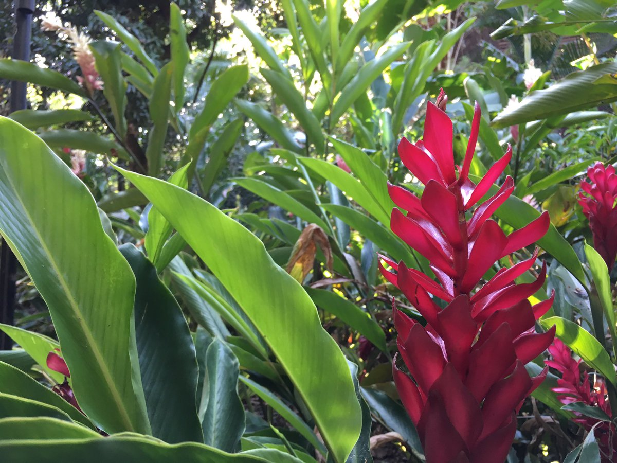 Magnificent Colombia tweet media