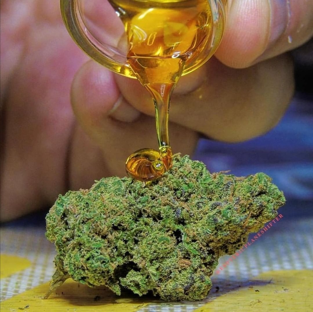 MJBlogCanada's tweet image. Have you ever tried moonrocks?

#stonerfam #MJBlog #puffpuffpass  #highlife #highsociety #IamCannabis #terps #TuesdayMotivation #cannabis #cannabiscommunity #weed #marijuana #weedporn #weedsociety #cannabisculture
#hightimes #smokeweedeveryday #cannabiscanada #PositiveVibes