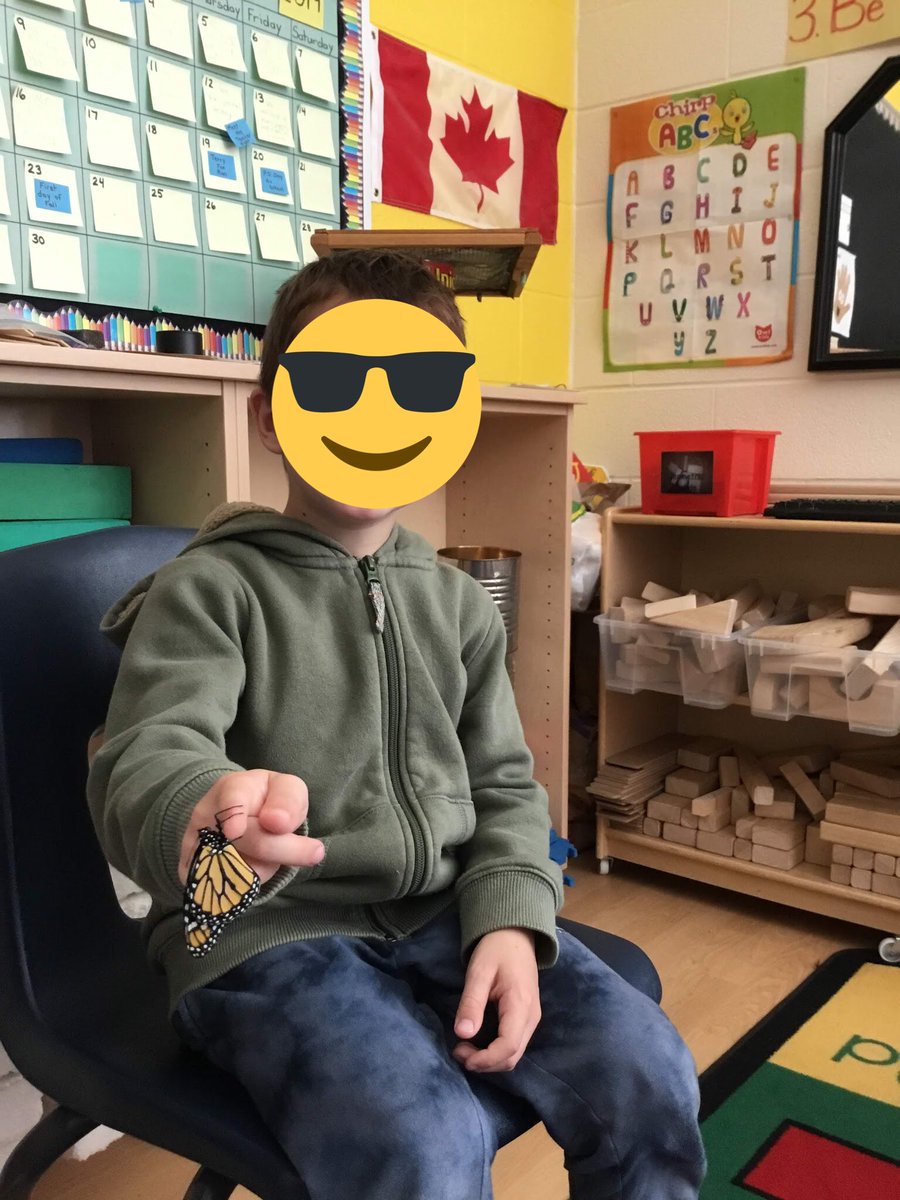 flomunchkins's tweet photo. #bestdayever  We watched this butterfly emerge from it’s chrysalis! And we got to hold it even Mr. Thompson!  Ask your child if it is a boy or a girl https://t.co/nT6Su0dtp9