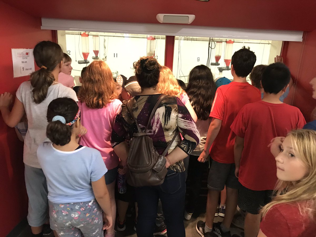 MmeDebbieDuncan's tweet photo. All about pigs @aitcmb @varennesLRSD #amazingag https://t.co/mT0ABEuJUA