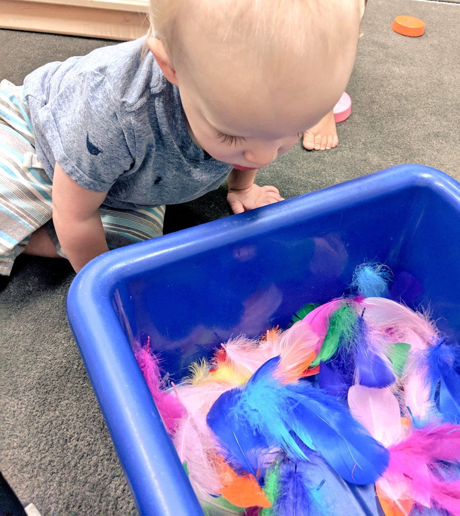 MelissaKayeRoss's tweet photo. #mvlittles discover feathers! https://t.co/G9XnLipjzS