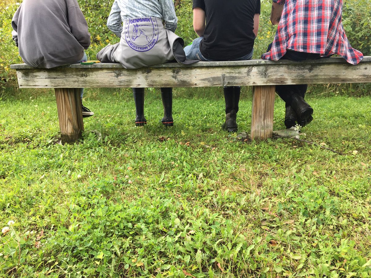 FieldCorps's tweet photo. Students at Denmark Community School had a great day out in the field discovering amazing creatures and working on their nature journals! @Denmark_DCS #outdoorclassroom #WIEnviroEd #ConnectEE https://t.co/u8nzntRefh