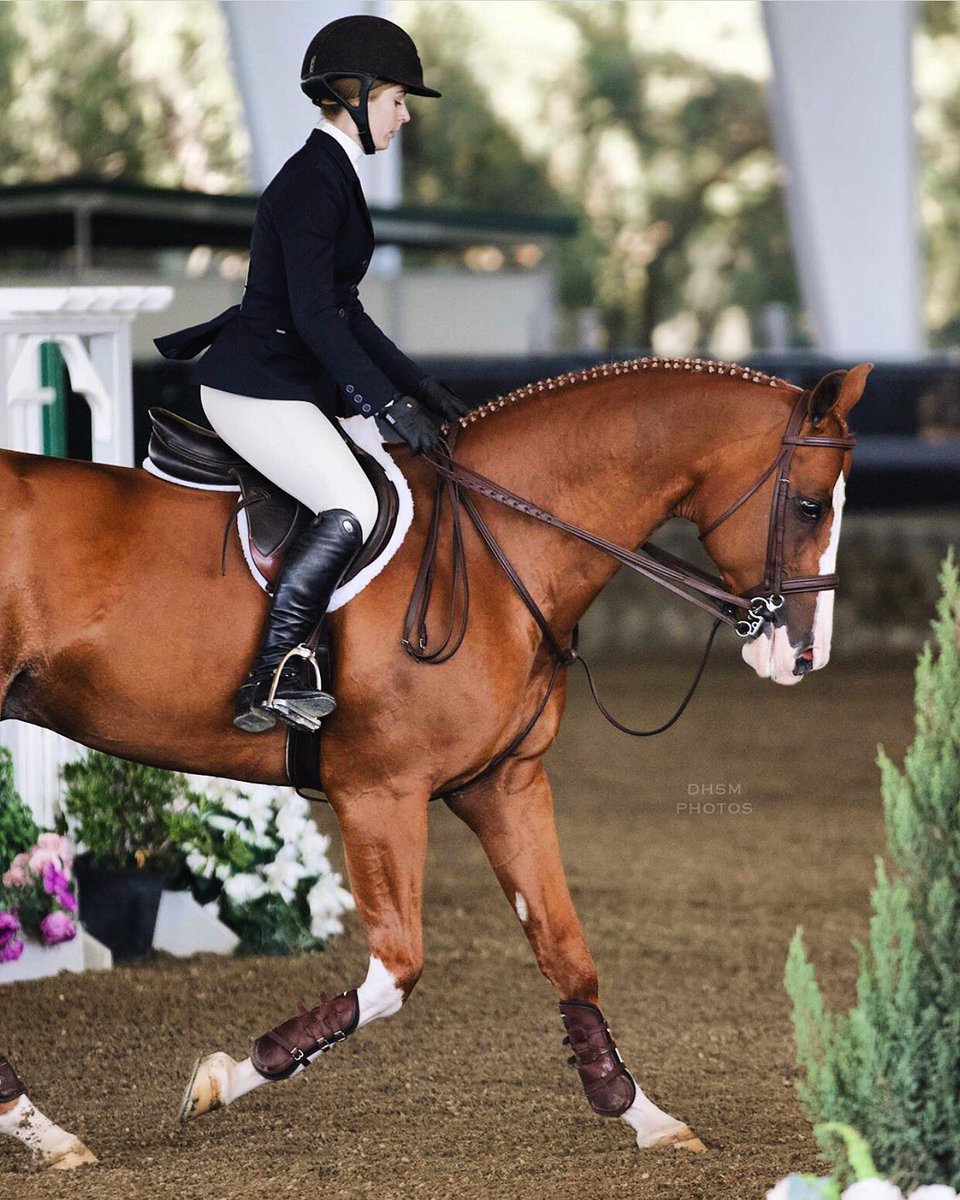 Anatomical Hunter Girth &amp; Luxe Boots = West Coast Equitation Finals Favorites🏆
PC: @dhsmphotos