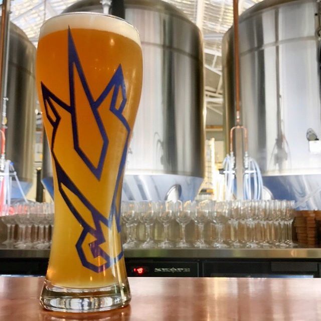 blindtastegf's tweet photo. Five reasons why you want more #hefeweizen in your life:
-
1. It’s #healthy! Yes, a glass of German #wheatbeer with dinner is perfectly healthful. Its yeast is loaded with B12 vitamins.
2. It goes great with food too thanks to its elevated acidity and hi… https://t.co/gIWauvSfgi https://t.co/4j8mIcjI9G
