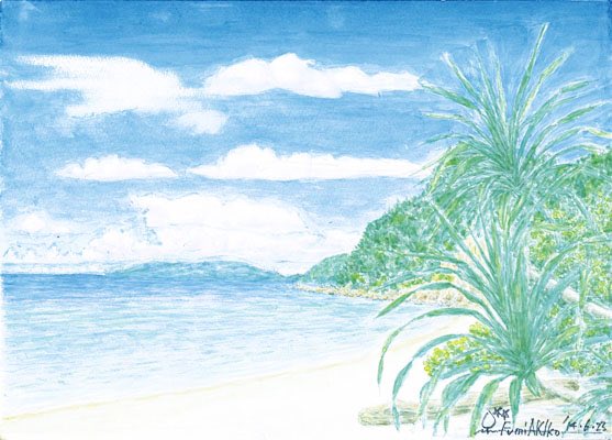 FreeHoshino's tweet photo. 『生命の海、生命の島  沖縄』
#星野文昭 https://t.co/pAp94d66WZ