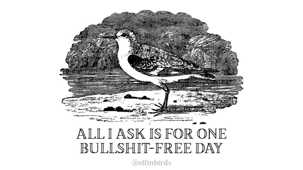 EffinBirds's tweet image. 