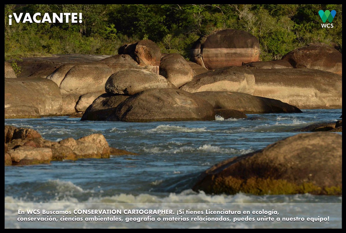 WCSColombia's tweet photo. ¿Quieres formar parte del equipo @WCSColombia?
¿Tienes licenciatura en ecología, conservación, geografía y afines?
Aquí nuestra nueva #vacante ▶️ https://t.co/jBjzlRwMHd

📅 Cierre de convocatoria: octubre 7 de 2019. https://t.co/5crMPLVOUB