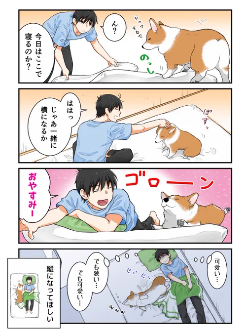 追い込んでくる犬 