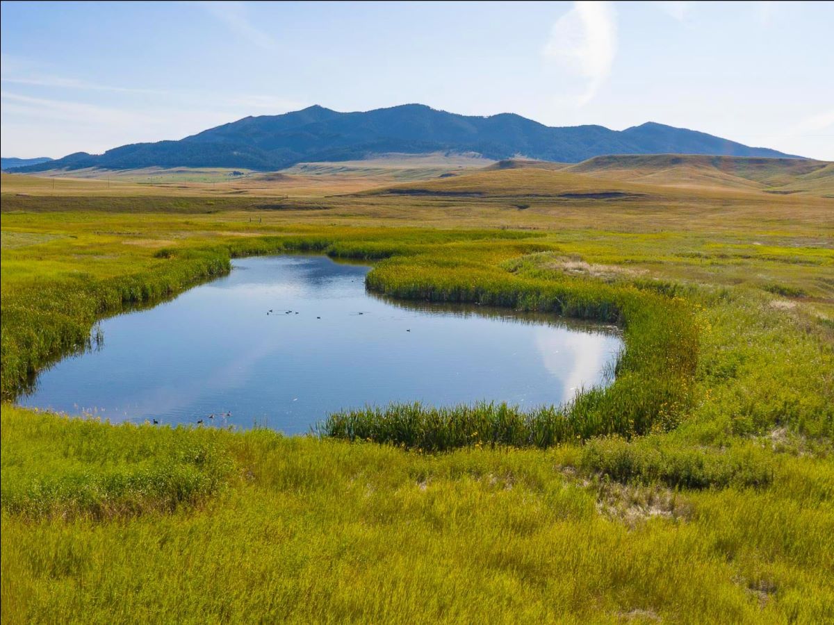 phillips_realty's tweet photo. New Offering! 150 Acres with Highway Frontage - https://t.co/kSwTtDIEkM #phillipsrealty #est1982 #centralmontanarealestate #centralmontanafarmandranch #takealook https://t.co/IMcqkBc1k9