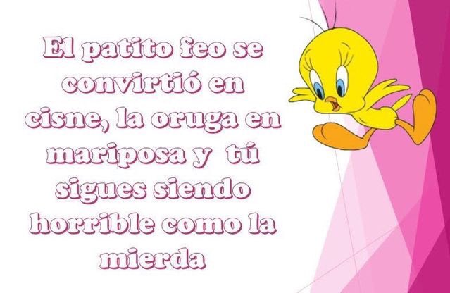 Ragoro2's tweet photo. @spuentemds Y tú que pitos tocas cuanto INVIERTES tú y la PINCHÉ EMPRESA IMPERIALISTA FOX en el BARCELONA?
Arrastrando lame Huevos no te escucho decir el Chiquero de PUERCOS donde juega el Deleznable Equipo Monterrey está 100 beses mejor donde tengo mis animales en San Diego PINCHÉ Sátrapa https://t.co/PHttCGmI5g