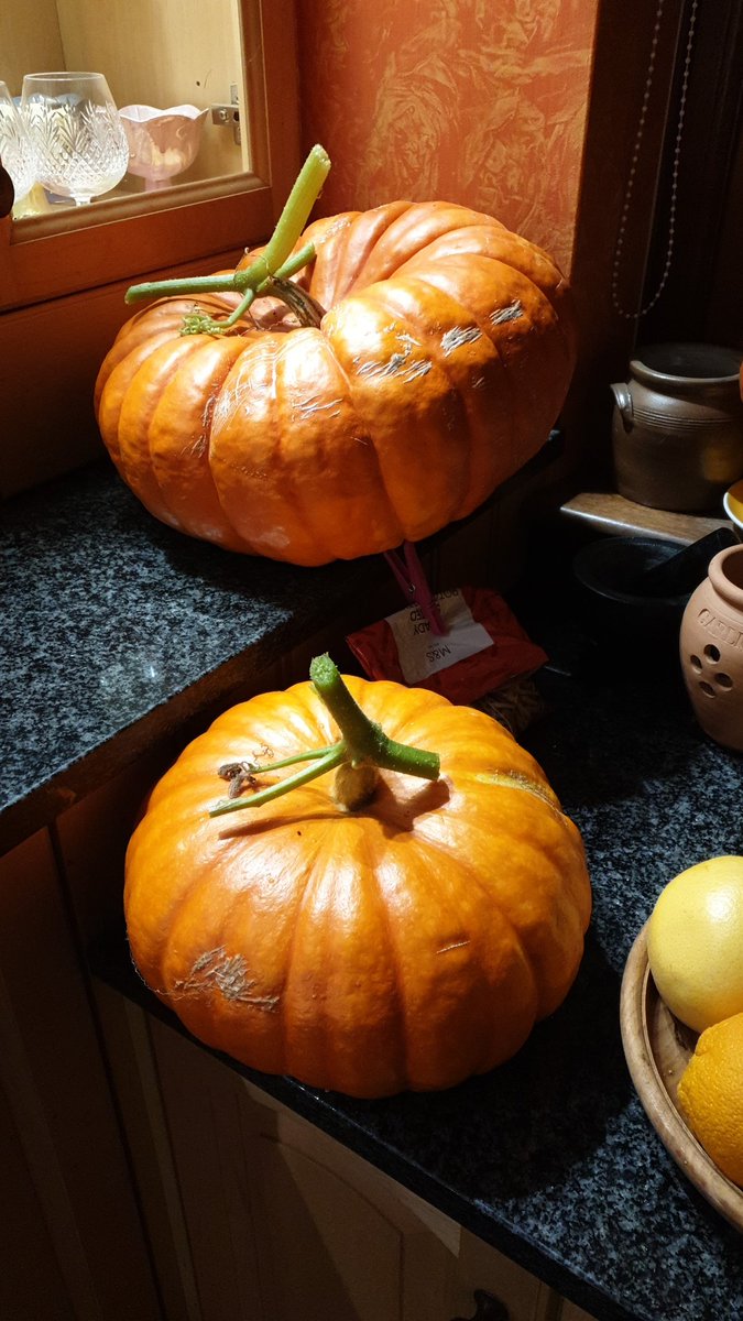 merrymeade's tweet photo. 12.7kg of yummy rouge d'etampe https://t.co/QpkZCr4j0s