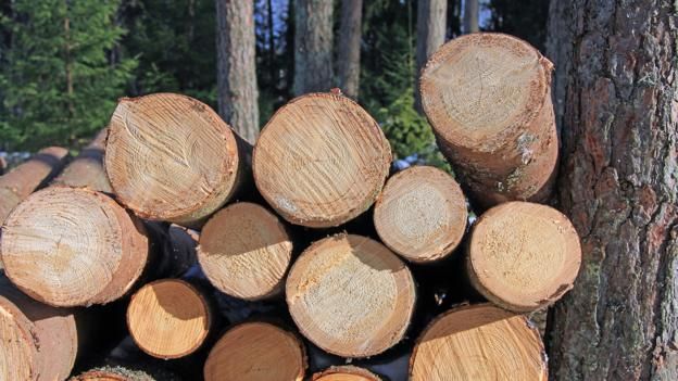 #treetalktuesday from your Forest COI. Wood from managed forestry actually stores carbon as opposed to emitting it: as #trees grow, they absorb CO2 from the atmosphere. Could we use #wood? #sustainability #forest #trees #tree #forests #education #nature 
bbc.com/future/story/2…