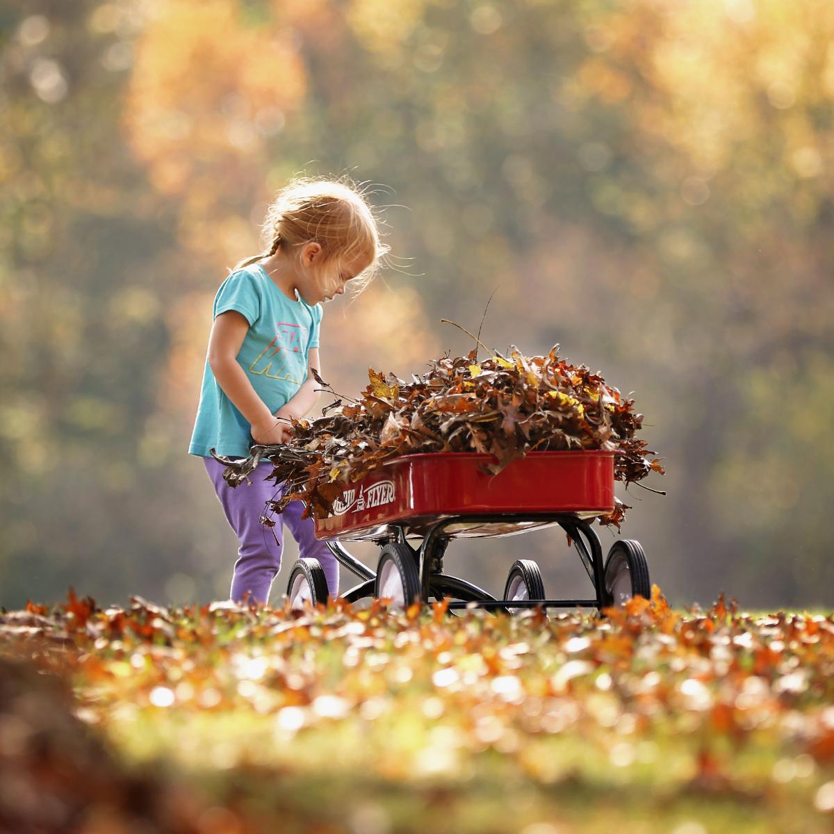 DelRayTrueValue's tweet image. We've got all the tools you need to make the perfect leaf pile this fall.