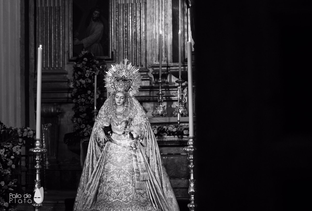 Besamanos Reina de los Cielos - Más fotos en la web de @paliodeplata .
#CofradiasMLG #ReinadelosCielos #PaliodePlata