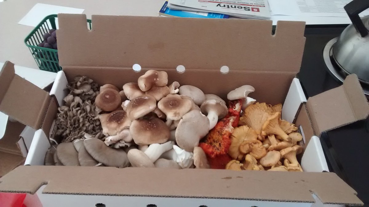 WickedSharpME's tweet image. A delicious trade for sharpening. Bartering is a blast.