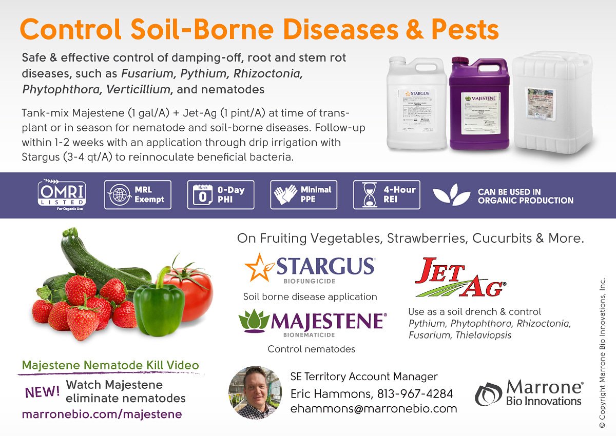 eshammons's tweet photo. @MarroneBio soil borne disease and pest solutions for the fall. Preplant or in season. #strawberries #watermelons #tomatoes #peppers #squash #nematodes #jetag #majestene #stargus https://t.co/ML2Ne8t6Lg