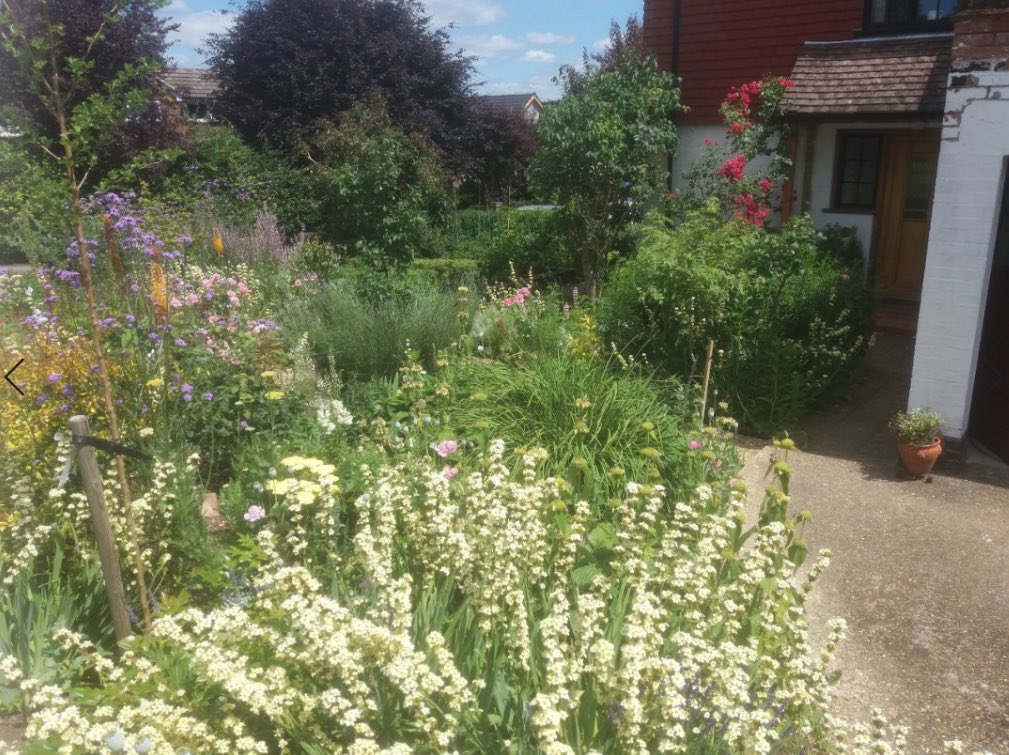 GuildfordnBloom's tweet photo. Best Front Garden : Janet Bangs presented with a glass crystal vase #GiB2019 https://t.co/fu1OgLhox4