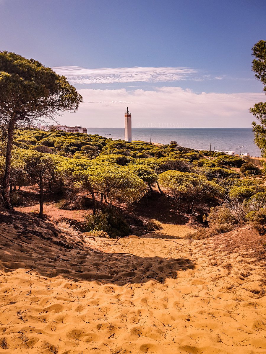 msphotography94's tweet photo. "Lone lighthouse." 🏖🌳
📸 #MSphotography #S8pluscam #instaphoto #park #lighthouse #parquedunar #nature #Doñana #costadelaluz #summertime #summer19 #SienteHuelva #Matalascañas #Huelva #Andalucía #Spain
👉🏻 Para ver más: link en el perfil. https://t.co/pQSoUk9Lax