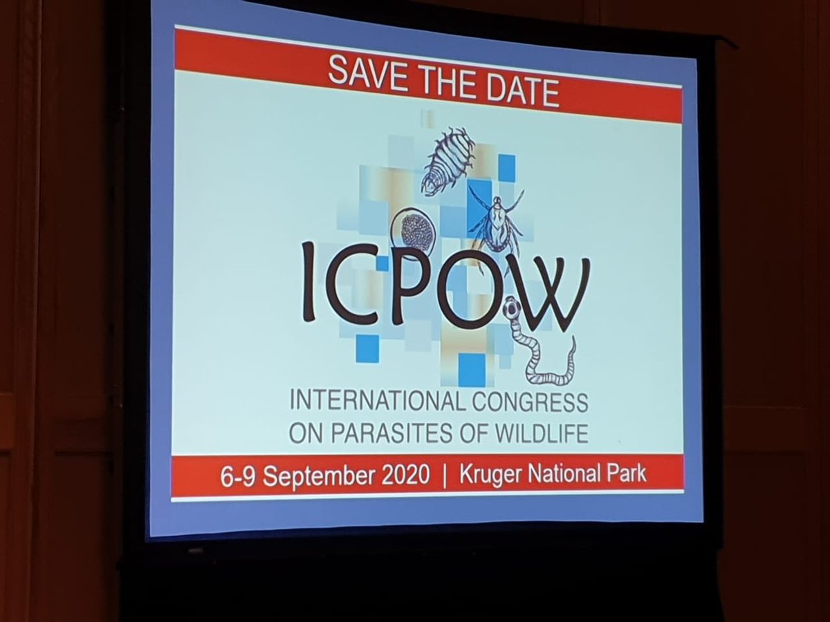 AliHalajian's tweet photo. Save the date of #ICPOW2020
International #parasitology conference in #SouthAfrica.
#WildlifeParasites in #KrugerNationalPark.
@SANParksKNP #InternationalCongressOnParasitesOfWildlife #ICPOW #parasites https://t.co/Fa6pznVaI6