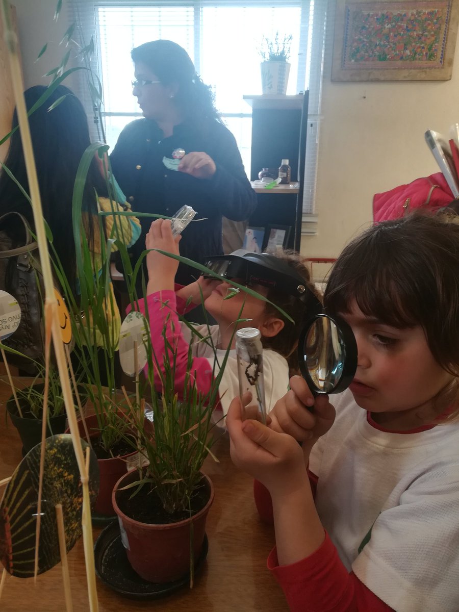 IngridTeich's tweet photo. Compartiendo el trabajo que hacemos en ciencia y tecnología con las escuelas y las familias en la #SemanaDeLaCiencia !! @intaCIAP #intacontodos https://t.co/DJhrVrLyEF