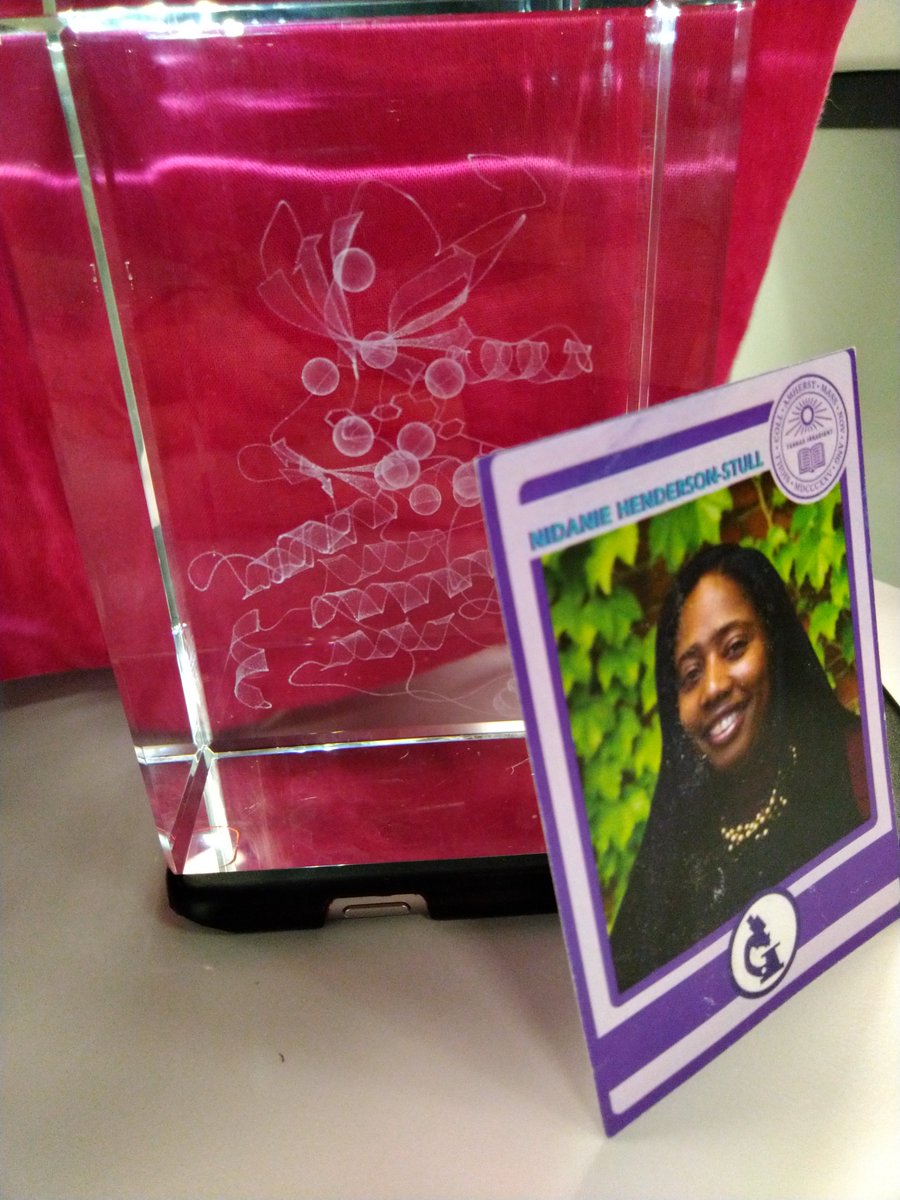 LabMnhs's tweet image. Good work to Danielle and Birkley for presenting at the Amherst Bio blitz! You&apos;re doing the lab proud!!!