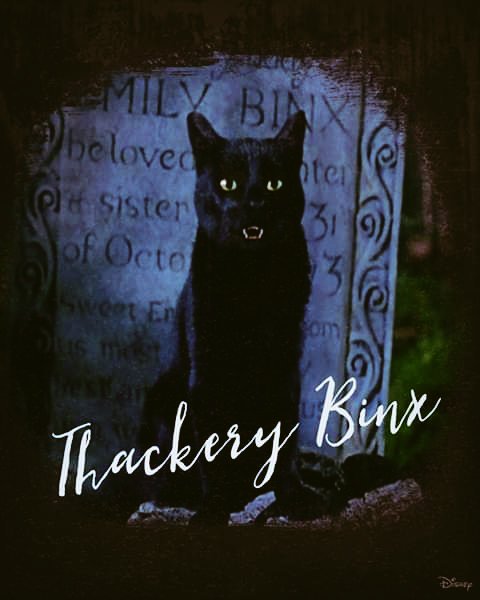 darktouristtrip's tweet photo. The best talking cat in TV & Film! 👀
#HocusPocus #thakerybinx #BlackCat #blackcatsrule #bettemidler #sandersonsisters #Halloween #autumnvibes #spooky #witch #witchesofinstagram https://t.co/GWG05xbCpz