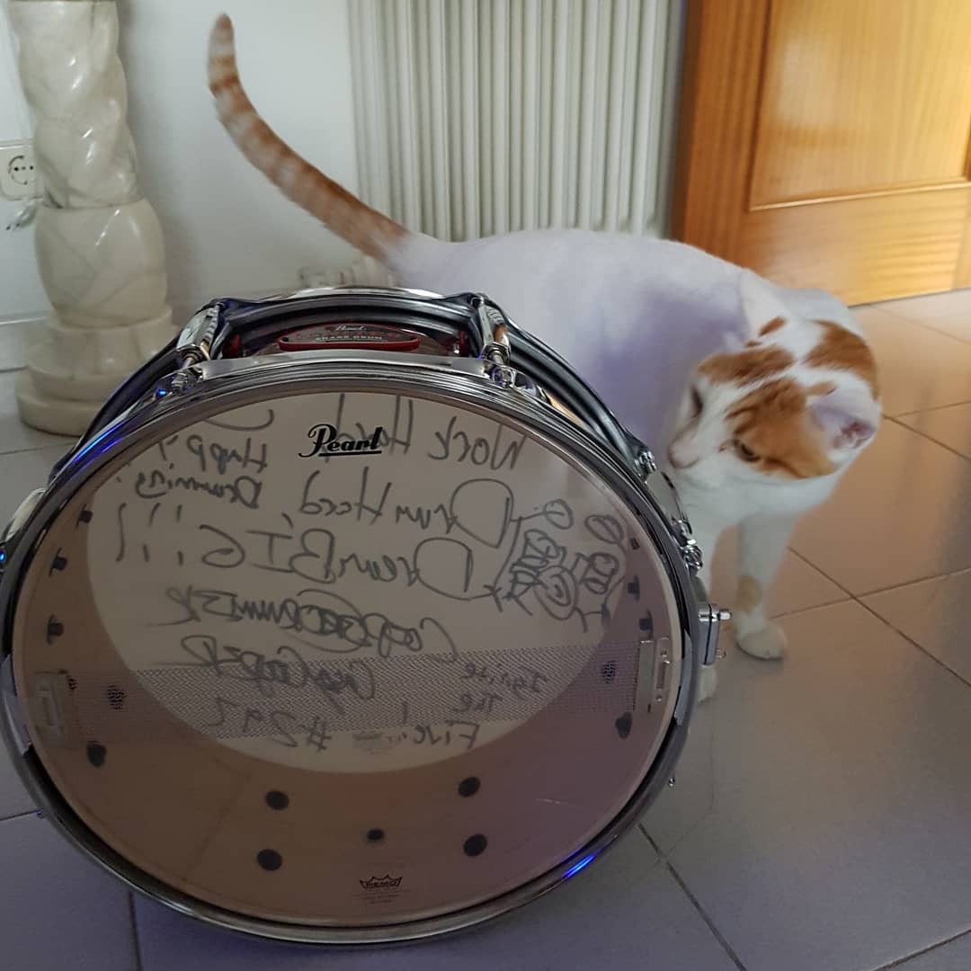 beldrums's tweet photo. It's here!!🔥🥁🔥🥁 the Igniter snare created by my favorite brand @PearlDrumsEuro &amp; my favorite youtube drummer @COOP3RDRUMM3R  and signed by him! 🙏I'm super grateful for this gift🥁 thank you so much I love it!!🤩👌🙏 https://t.co/RAYfZy6l8g