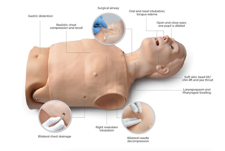 Anatomical Parts And Charts