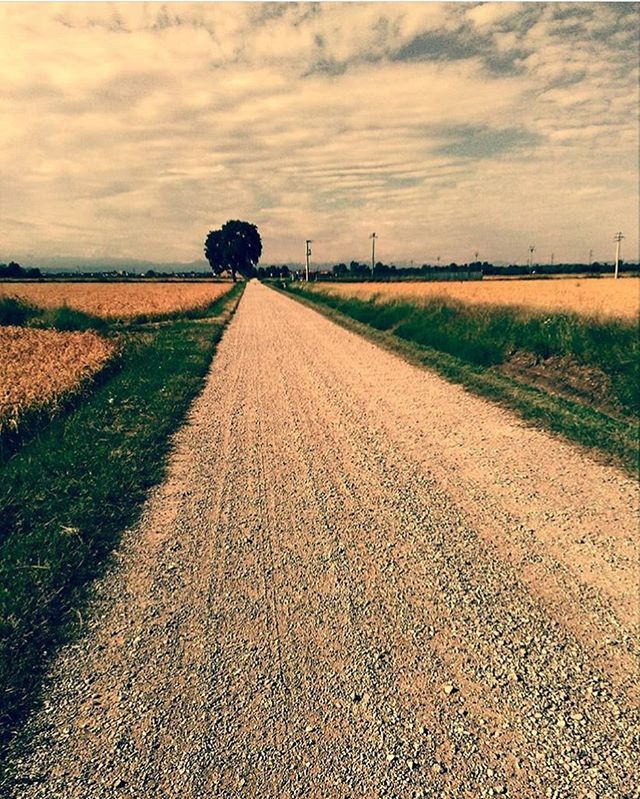 Igers_novara's tweet photo. __________________________________
Si sente il profumo della campagna
.
Grazie @jasmine.pergola per aver condiviso questa stupenda foto
.
Selezione di @cschicca
.
#igersnovara #novara #igerspiemonte #instagramersitalia #piemonte #weareigersit #communityf… https://t.co/TkoDOJ96B4 https://t.co/UgbCN0DdjY