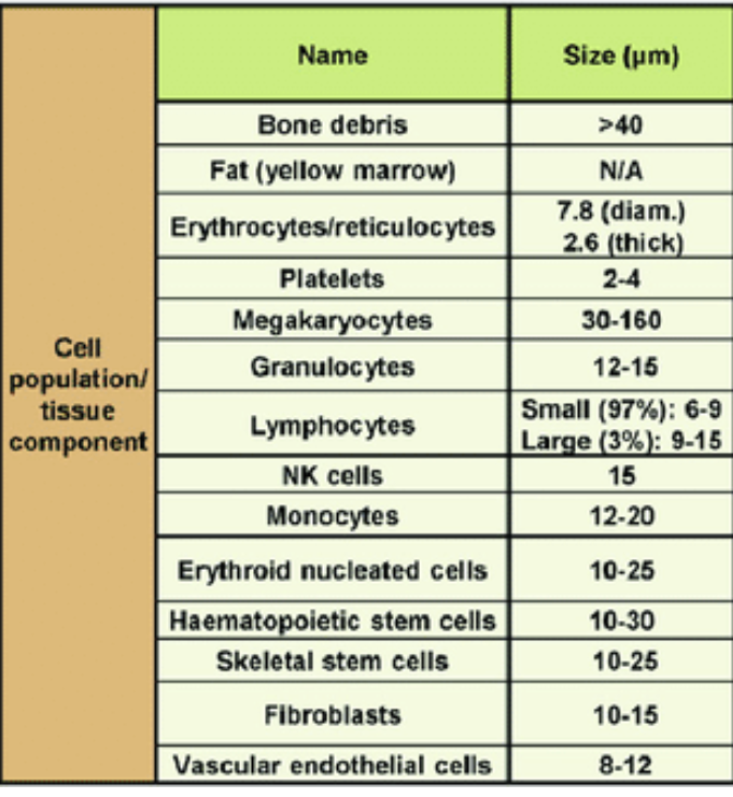DrAlaaAkarim's tweet photo. Simple Facts of Stem Cells say that the Diameter of Mesenchymal #Stem_Cells range from 17-30 μm. Average Diameter of alveolar capillaries is 7-8 μm. Where is the logic in injecting the stem cells? What magic make them pass the ##alveolar buds? https://t.co/A7SI1xryMS
