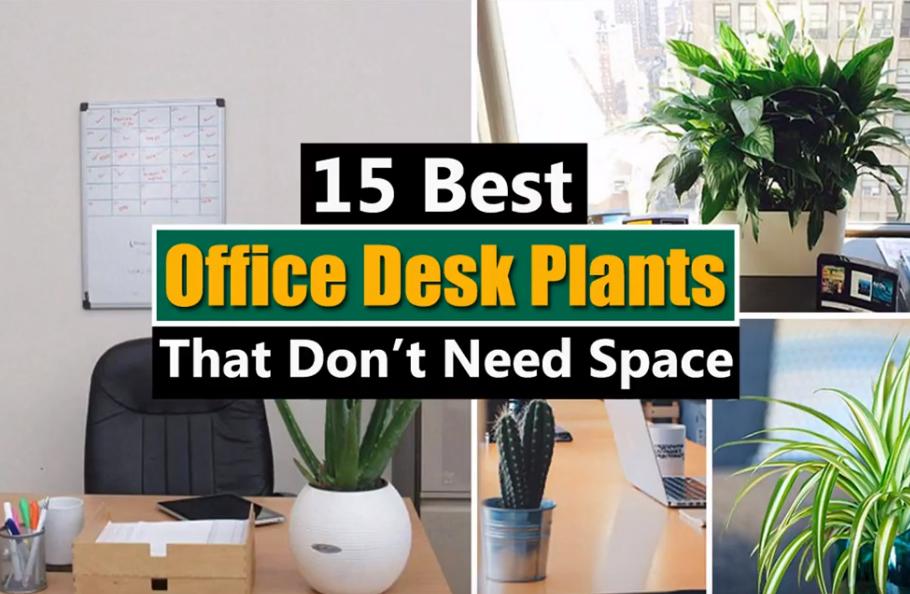Flexispot On Twitter Flexispotshare 15 Best Office Desk