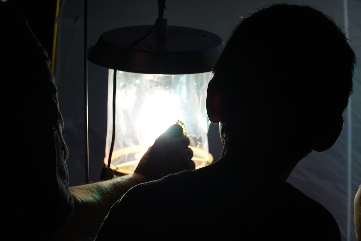 UnivSchool's tweet photo. The storm didn't stop our young scientists! 🦋🔍
Science teacher Hans Rydquist invited Lepidopterist, Naturalist, and his mother, Pat Rydquist, to the Shaker campus for Family Science Night. She taught our boys and their families about moths, butterflies, and other insects! https://t.co/UVm4L8uqbm